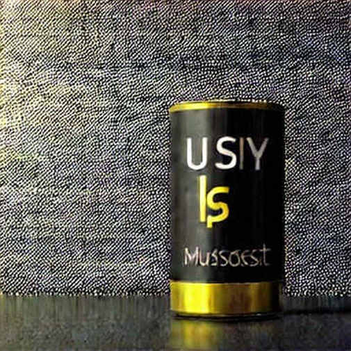 The Fragile Edge of Narrative: Why Geopolitical Crises Don't Forge Digital Gold