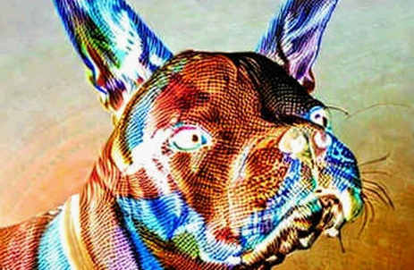 World Labs' Acquisition of SceniX: A Battle-Tested Trader's Skeptical Take on Synthetic Data
